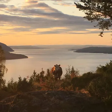 펜션 High Standard In Nature One Hour From Oslo Fantastic Wiews - Family Friendly Eina