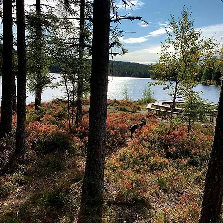 High Standard In Nature One Hour From Oslo Fantastic Wiews - Family Friendly 펜션